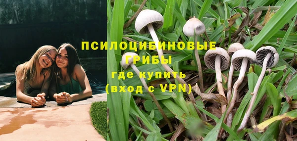 ALPHA PVP Аркадак