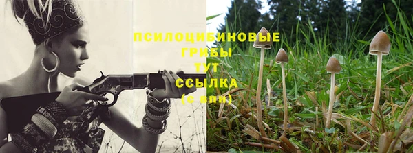 прущие крисы Арсеньев
