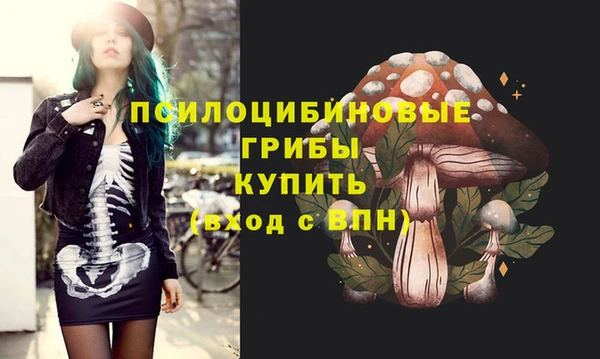 прущие крисы Арсеньев