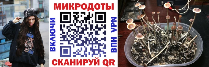 Купить закладки  Белебей  Галлюциногенные грибы Psilocybine cubensis 